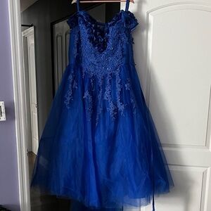 Royal Blue Lace Wedding Ballgown Quinceanera tulle Dress XXL